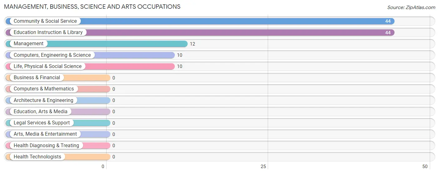 Management, Business, Science and Arts Occupations in Zip Code 10975