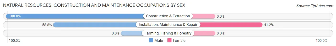 Natural Resources, Construction and Maintenance Occupations by Sex in Zip Code 10988