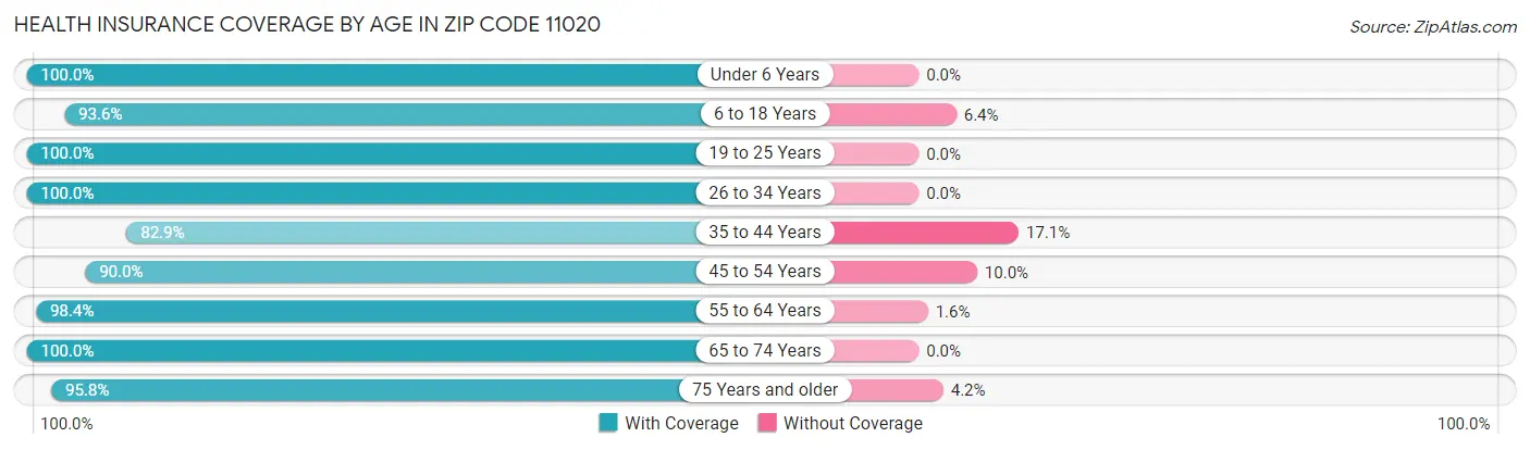 Health Insurance Coverage by Age in Zip Code 11020