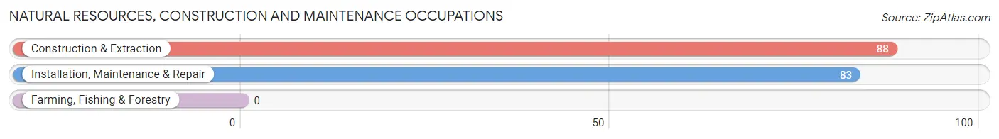 Natural Resources, Construction and Maintenance Occupations in Zip Code 11021