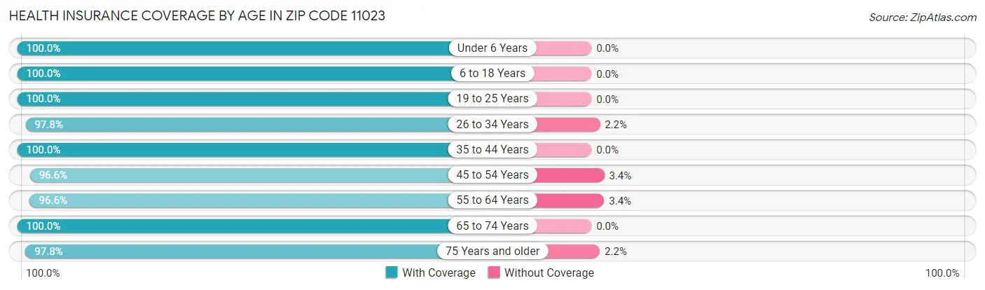 Health Insurance Coverage by Age in Zip Code 11023