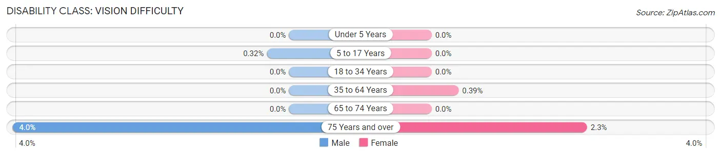 Disability in Zip Code 11030: <span>Vision Difficulty</span>