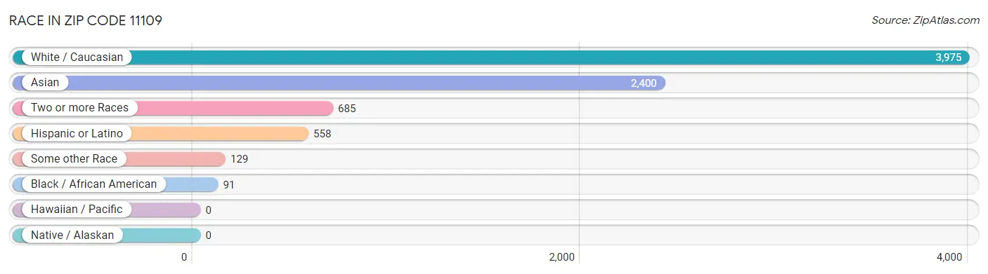 Race in Zip Code 11109
