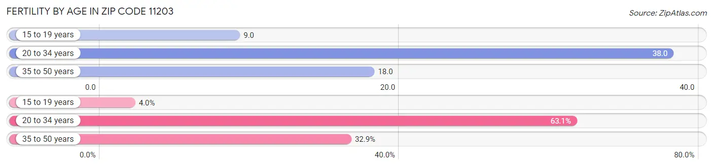 Female Fertility by Age in Zip Code 11203