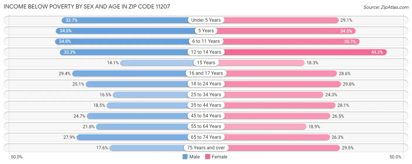 Income Below Poverty by Sex and Age in Zip Code 11207