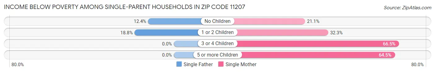 Income Below Poverty Among Single-Parent Households in Zip Code 11207