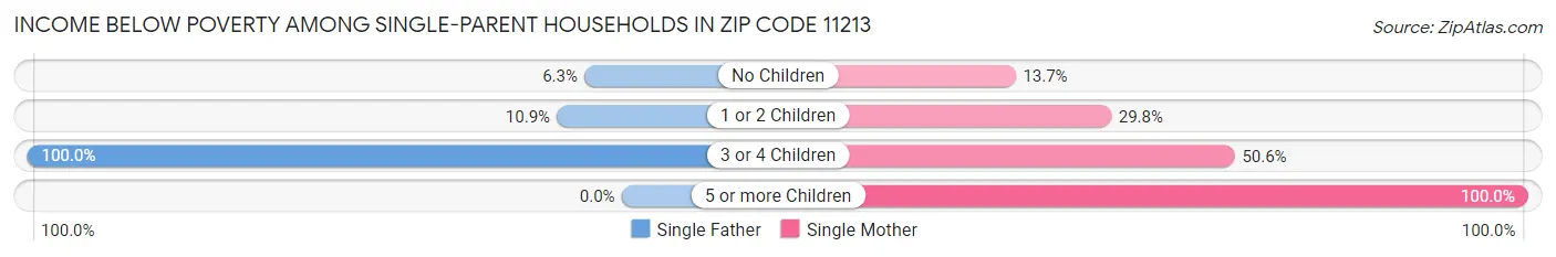 Income Below Poverty Among Single-Parent Households in Zip Code 11213