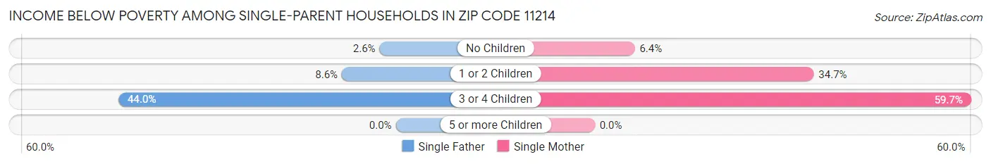Income Below Poverty Among Single-Parent Households in Zip Code 11214