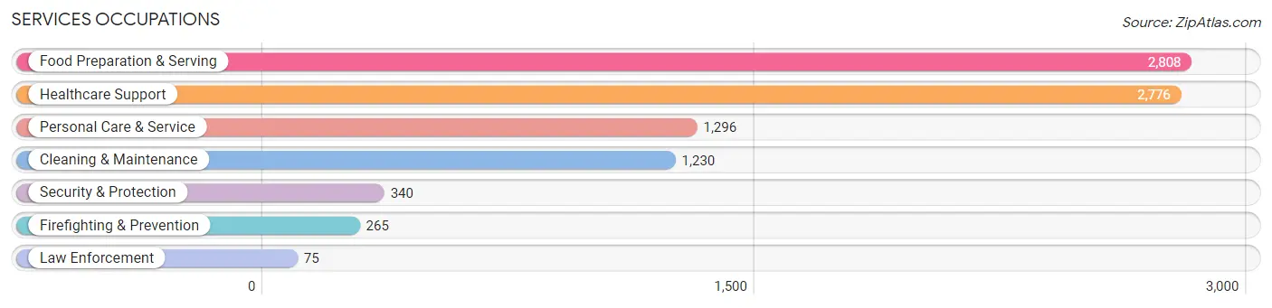 Services Occupations in Zip Code 11219