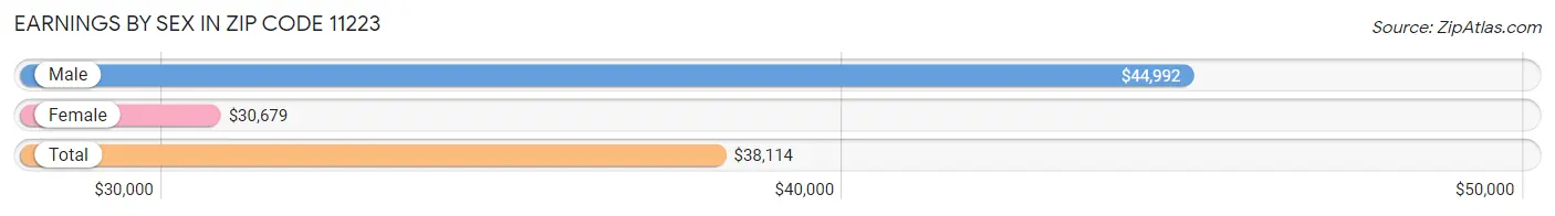 Earnings by Sex in Zip Code 11223