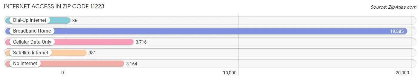 Internet Access in Zip Code 11223