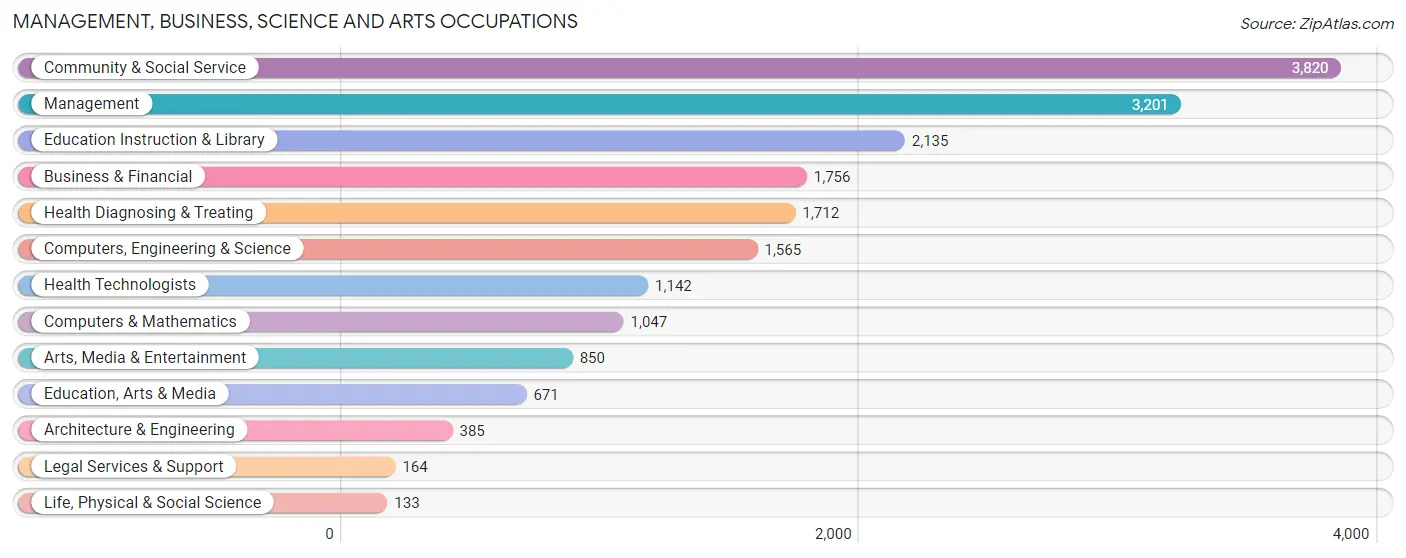 Management, Business, Science and Arts Occupations in Zip Code 11223