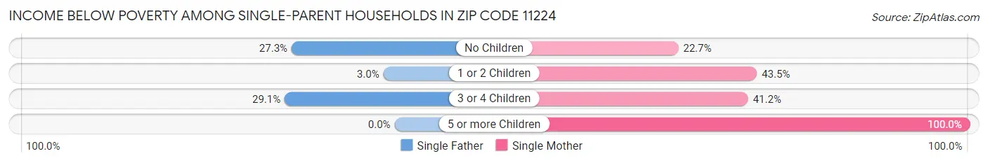 Income Below Poverty Among Single-Parent Households in Zip Code 11224
