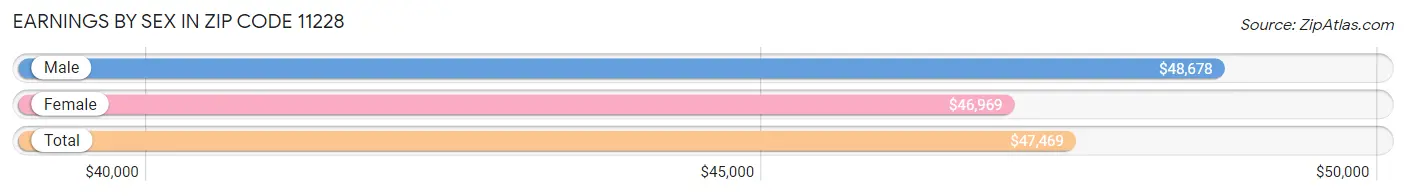 Earnings by Sex in Zip Code 11228