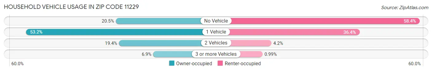 Household Vehicle Usage in Zip Code 11229