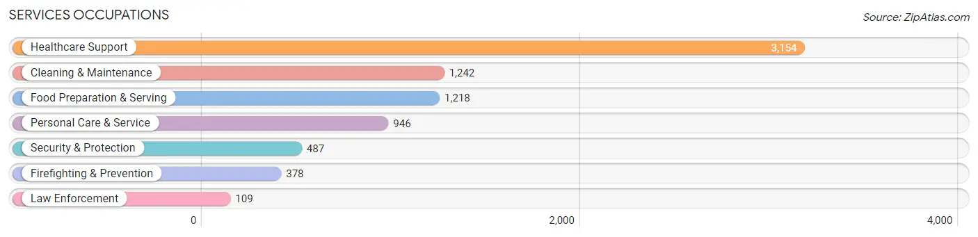 Services Occupations in Zip Code 11230