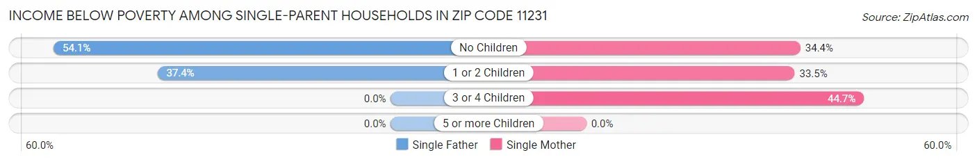 Income Below Poverty Among Single-Parent Households in Zip Code 11231
