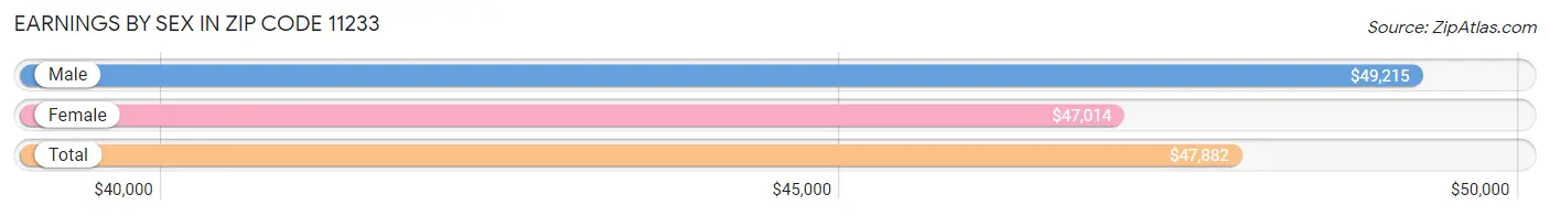 Earnings by Sex in Zip Code 11233