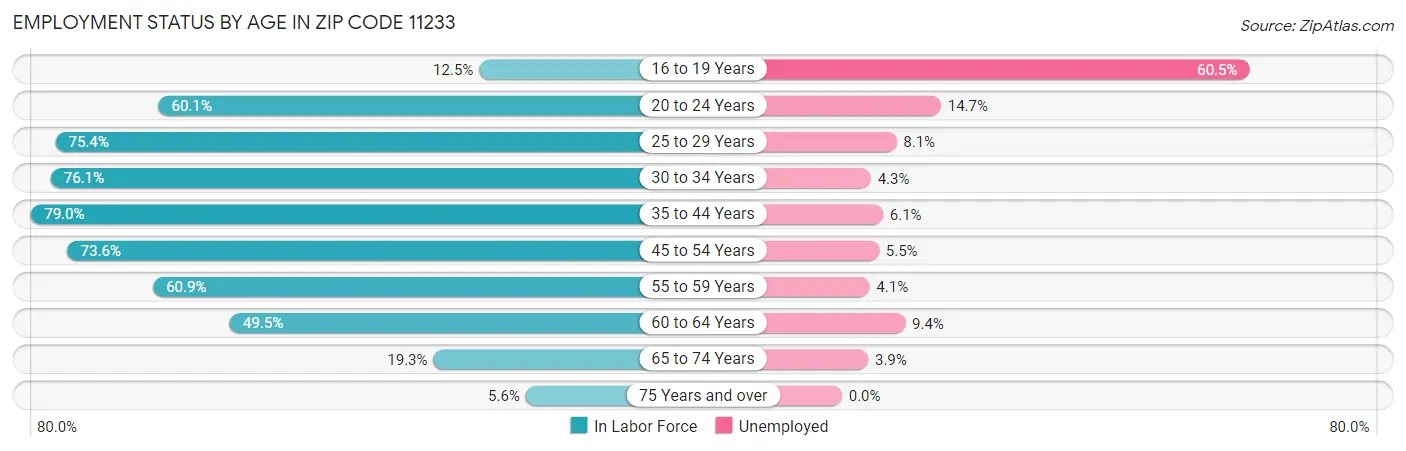 Employment Status by Age in Zip Code 11233