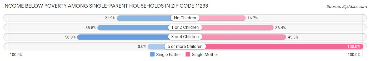 Income Below Poverty Among Single-Parent Households in Zip Code 11233