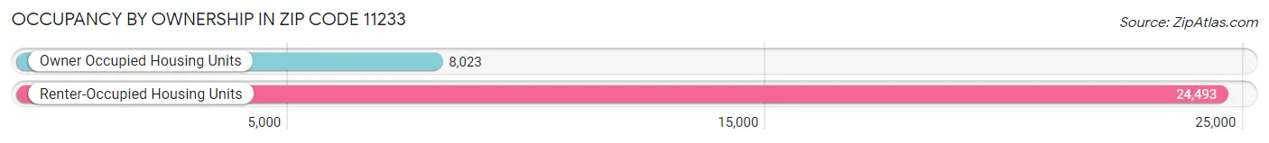 Occupancy by Ownership in Zip Code 11233