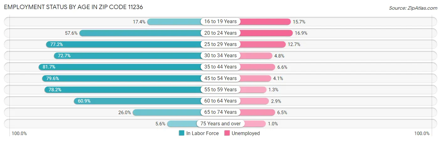 Employment Status by Age in Zip Code 11236