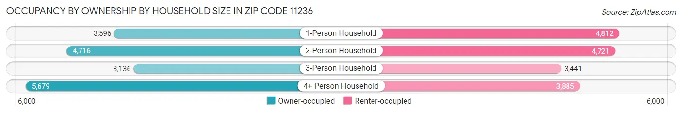 Occupancy by Ownership by Household Size in Zip Code 11236