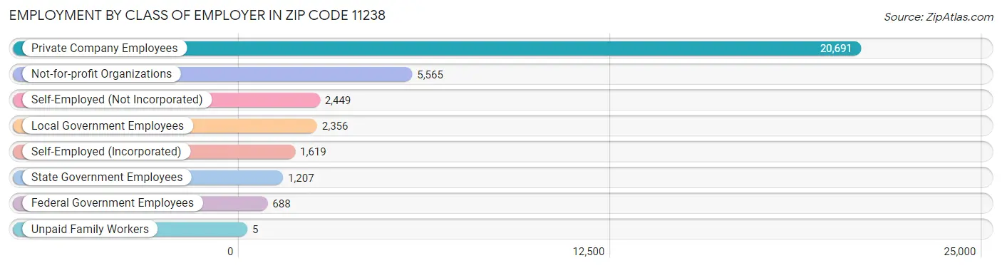 Employment by Class of Employer in Zip Code 11238