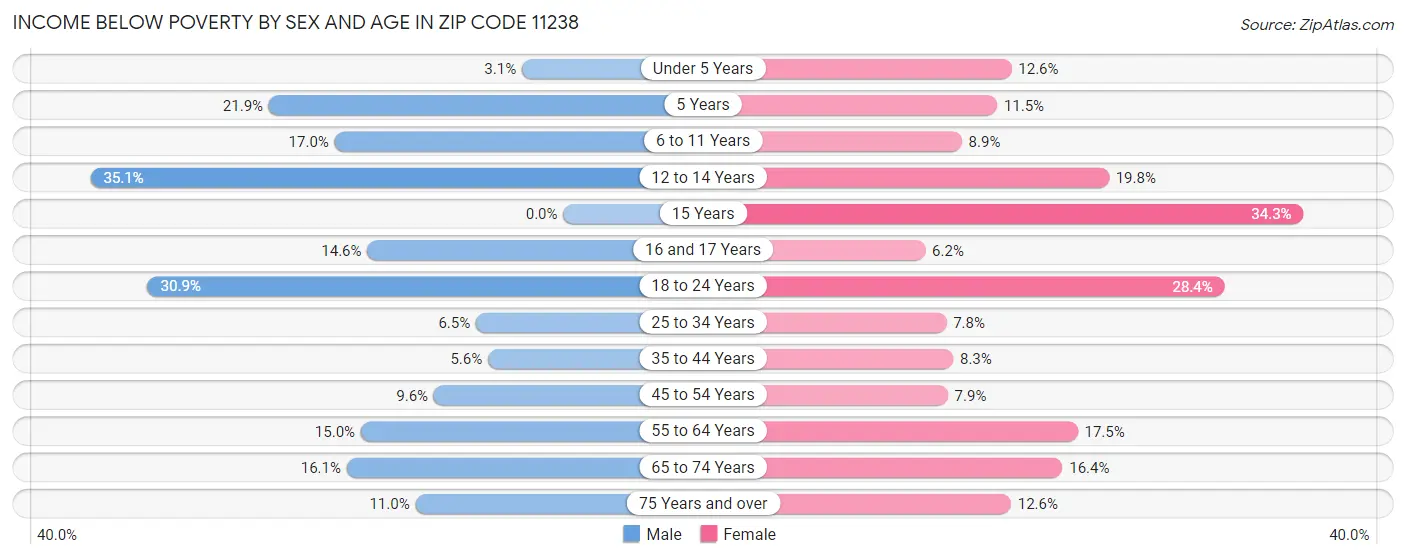 Income Below Poverty by Sex and Age in Zip Code 11238
