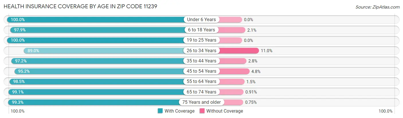 Health Insurance Coverage by Age in Zip Code 11239