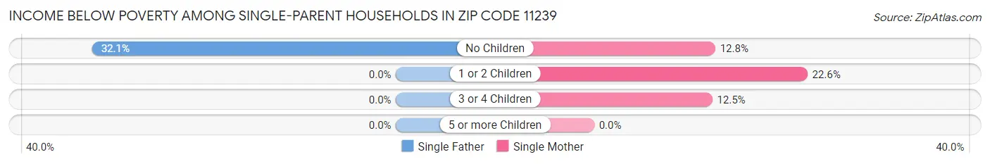 Income Below Poverty Among Single-Parent Households in Zip Code 11239