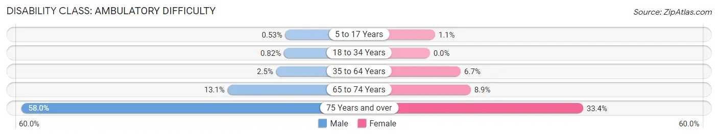 Disability in Zip Code 11249: <span>Ambulatory Difficulty</span>