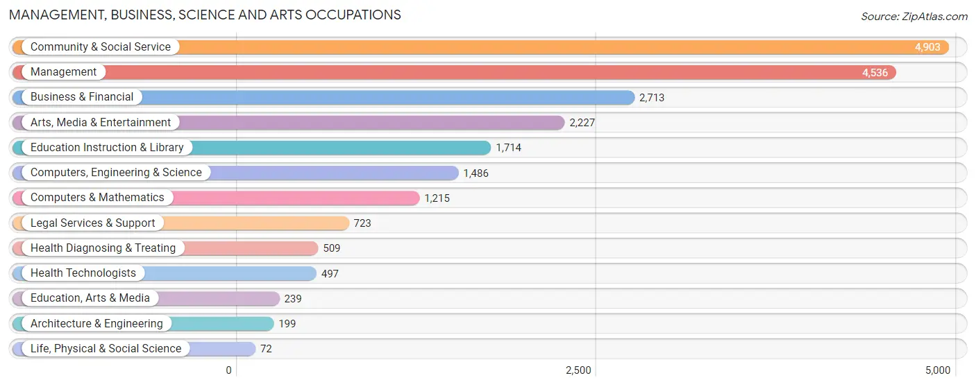 Management, Business, Science and Arts Occupations in Zip Code 11249