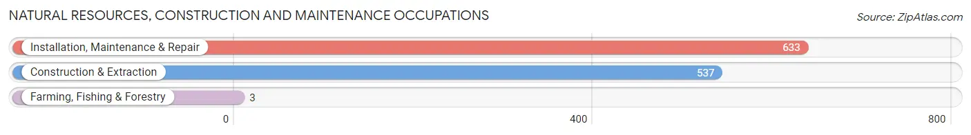 Natural Resources, Construction and Maintenance Occupations in Zip Code 11364