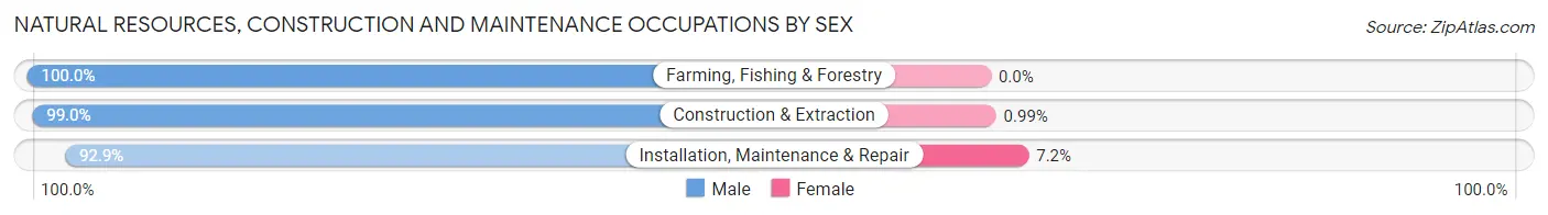 Natural Resources, Construction and Maintenance Occupations by Sex in Zip Code 11378