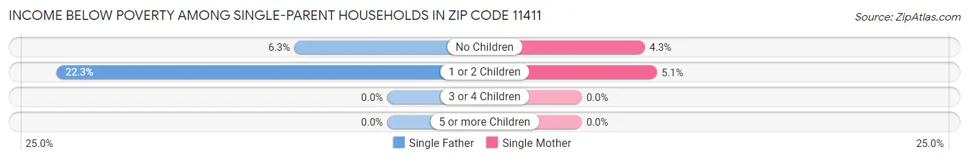Income Below Poverty Among Single-Parent Households in Zip Code 11411