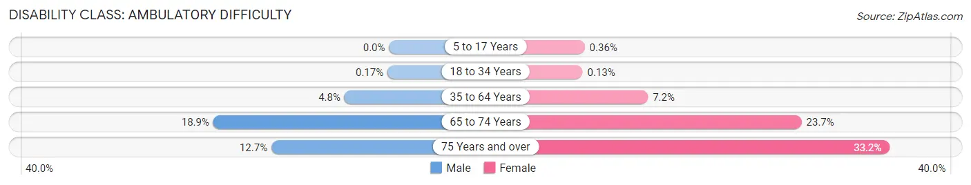 Disability in Zip Code 11419: <span>Ambulatory Difficulty</span>