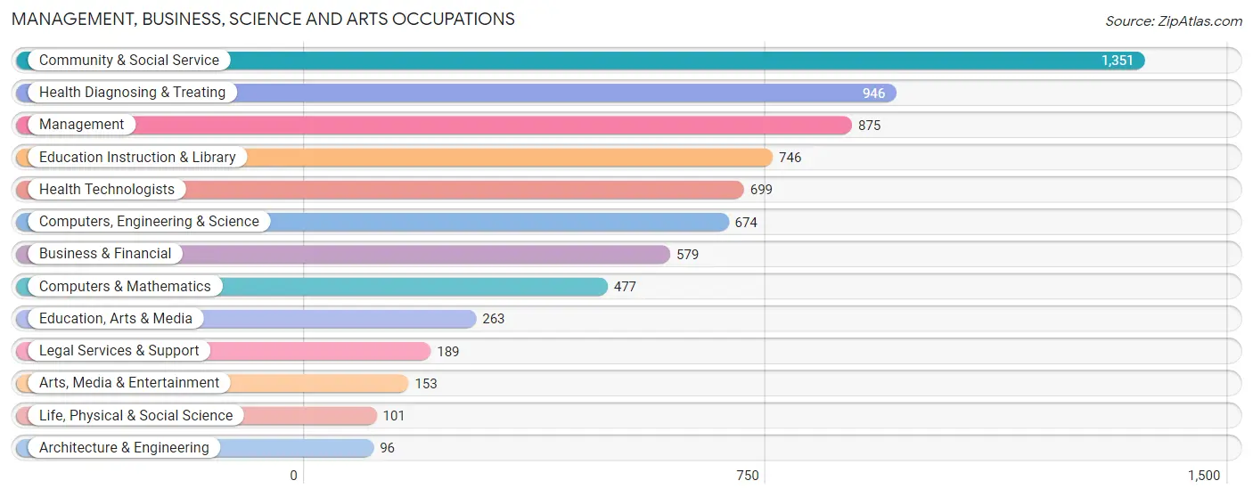 Management, Business, Science and Arts Occupations in Zip Code 11427