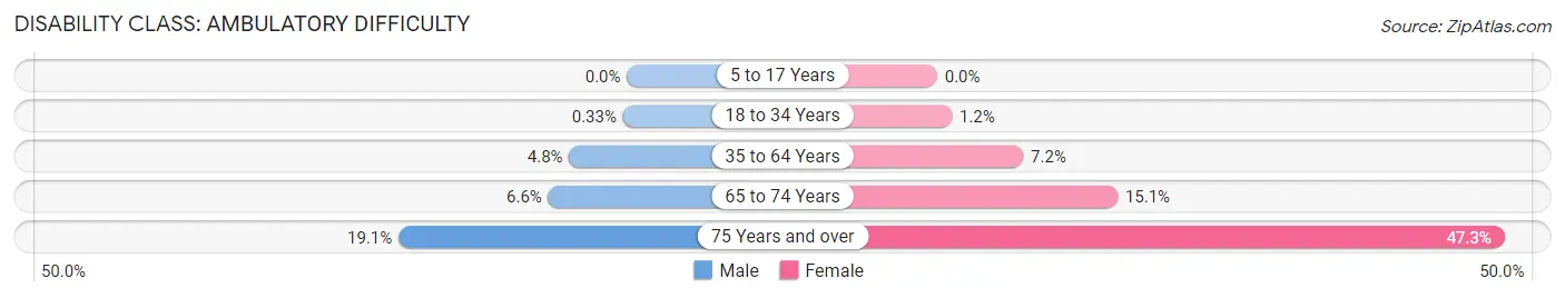 Disability in Zip Code 11428: <span>Ambulatory Difficulty</span>