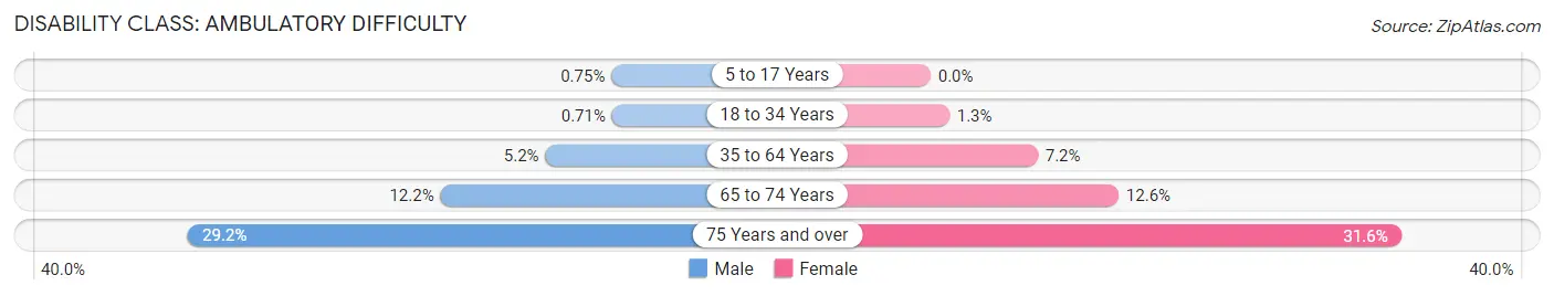 Disability in Zip Code 11436: <span>Ambulatory Difficulty</span>