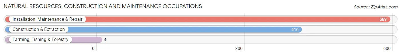 Natural Resources, Construction and Maintenance Occupations in Zip Code 11436