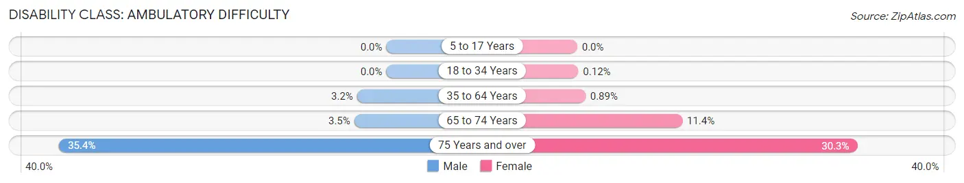 Disability in Zip Code 11507: <span>Ambulatory Difficulty</span>