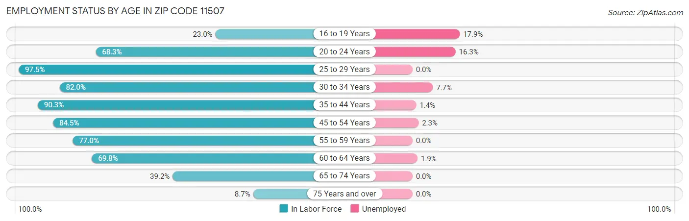 Employment Status by Age in Zip Code 11507