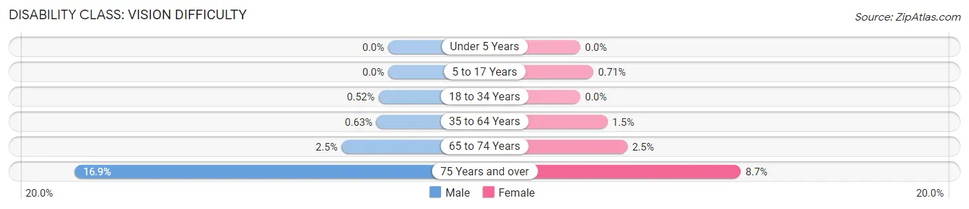 Disability in Zip Code 11510: <span>Vision Difficulty</span>