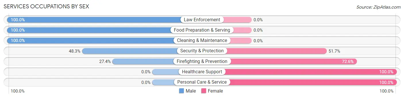 Services Occupations by Sex in Zip Code 11516