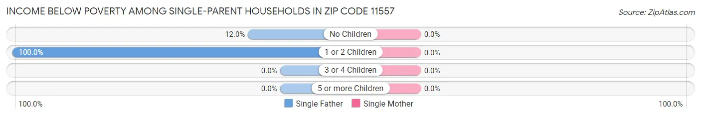 Income Below Poverty Among Single-Parent Households in Zip Code 11557