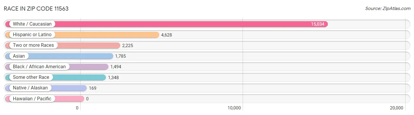 Race in Zip Code 11563