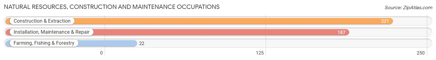 Natural Resources, Construction and Maintenance Occupations in Zip Code 11570