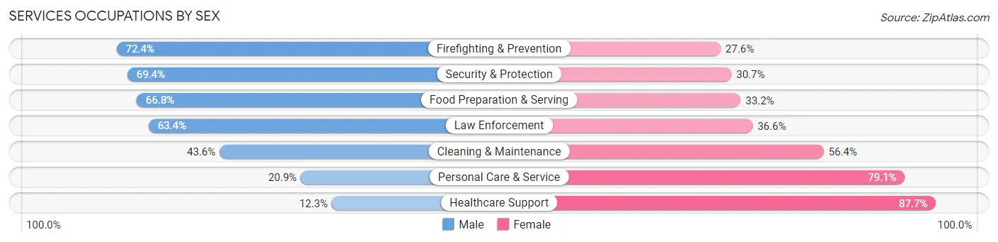 Services Occupations by Sex in Zip Code 11691