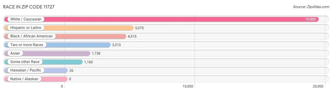 Race in Zip Code 11727